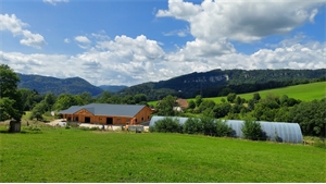 propriete equestre à la vente -   25200  MONTBELIARD, surface 1000 m2 vente propriete equestre - UBI484022867